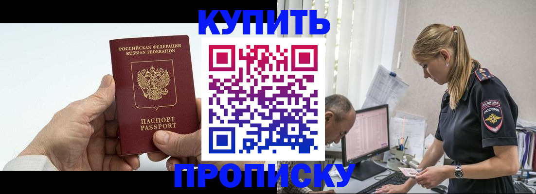 прописка поиск в Александровске